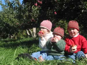 Apple Pickers