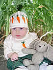 Carrot Sweater