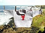 Lobster Sweater